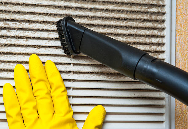 Best Affordable Duct Cleaning Services  in Springfield, MI
